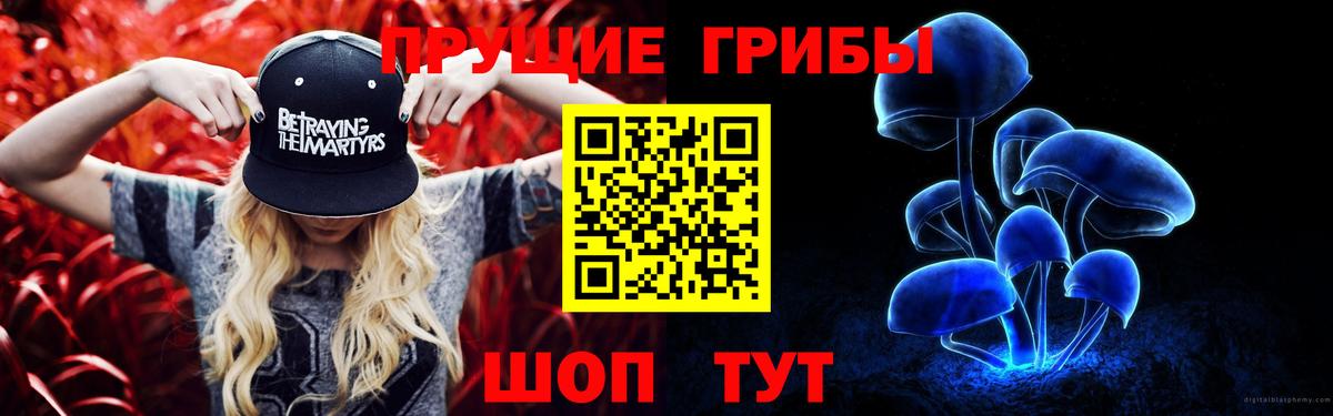 Ливны  Галлюциногенные грибы Psilocybe  Вход с VPN 