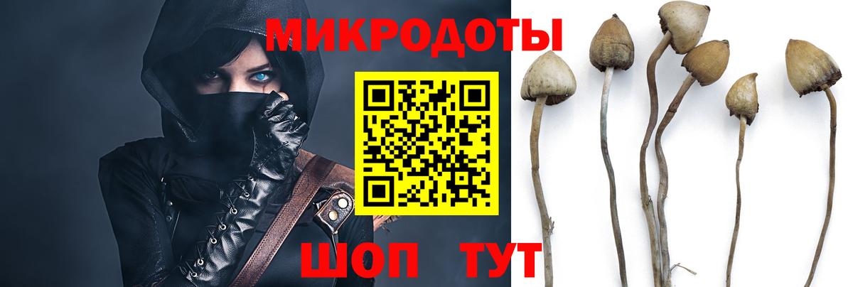 Галлюциногенные грибы ЛСД Ливны